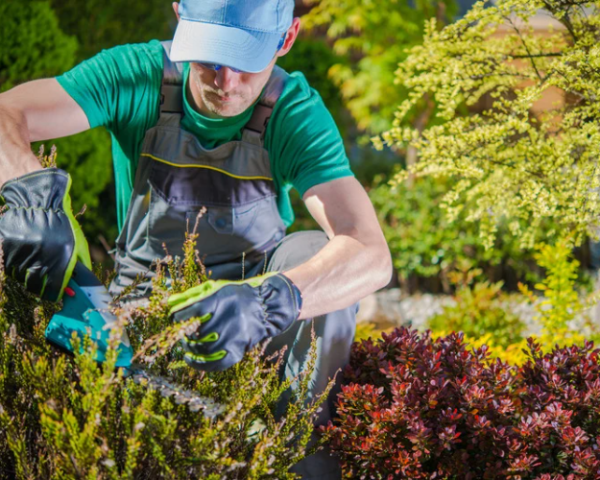 bloemen vacatures